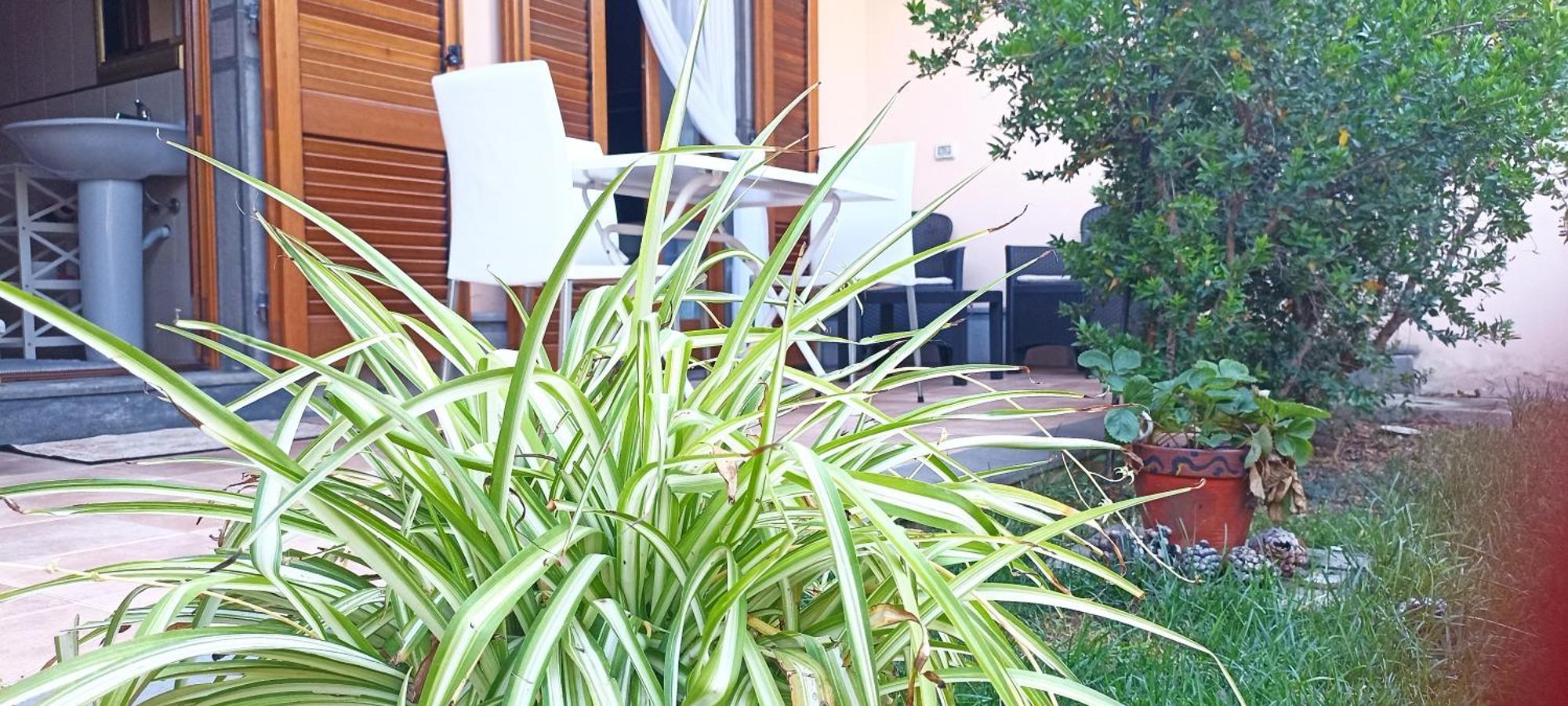 Casa Lilla 1 E 2 Διαμέρισμα Οριστάνο Εξωτερικό φωτογραφία